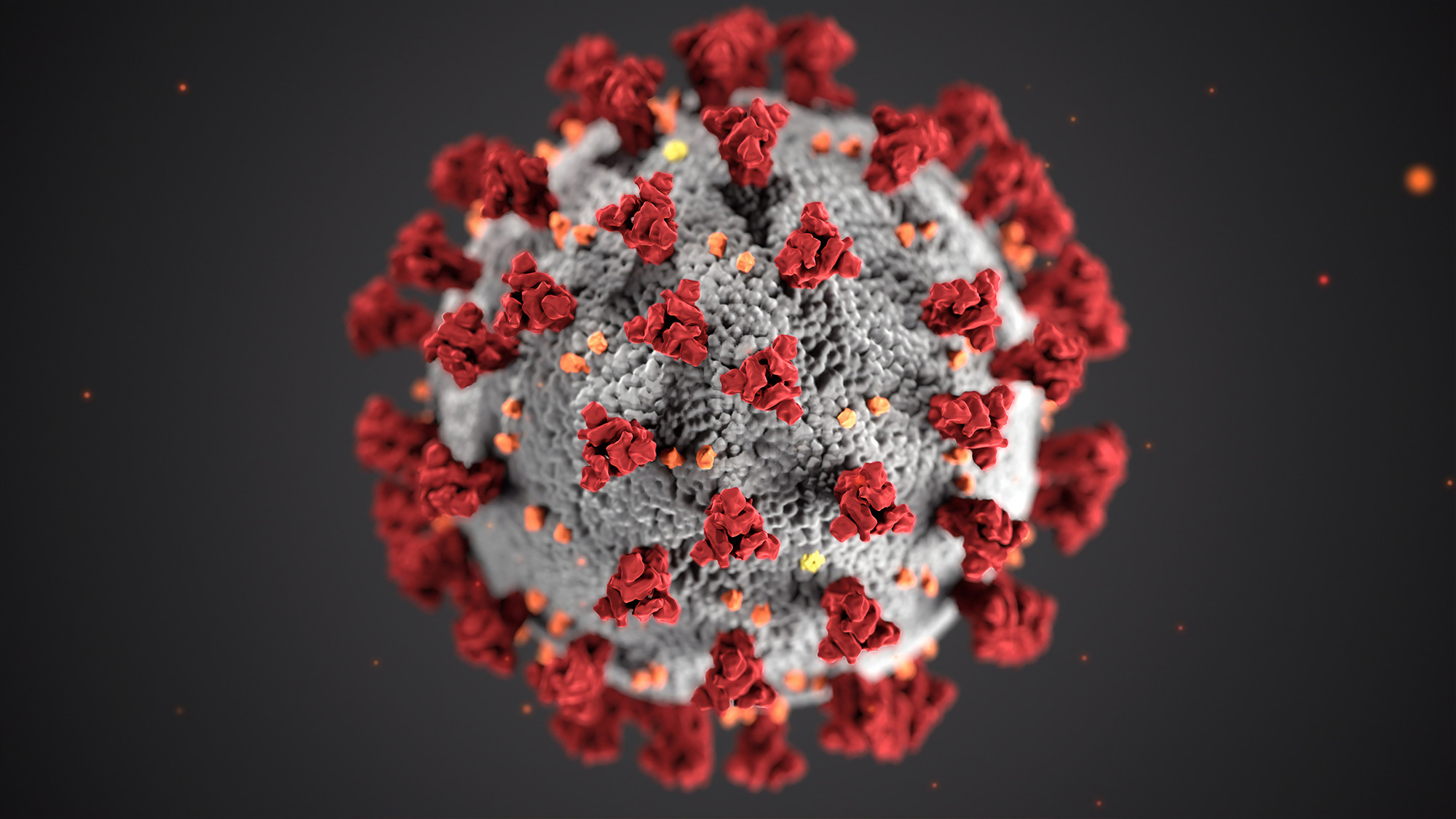 Coronavirus-image